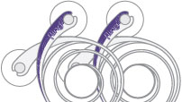 Fling 2Pack - Ultraviolet