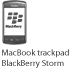 Blackberry Storm